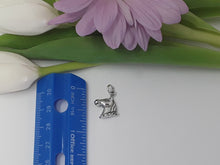 Load image into Gallery viewer, ps7158 - Small Sterling Silver Horse Head (Left Charm)